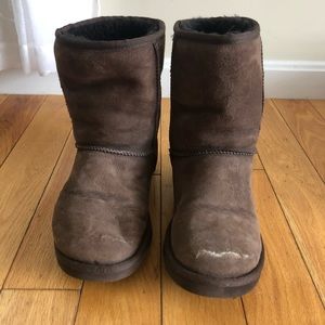 Short Brown Uggs